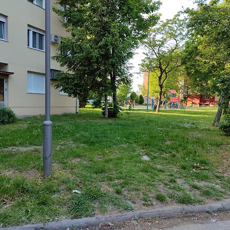 Apartman Studio Blue Subotica Eksteriør billede