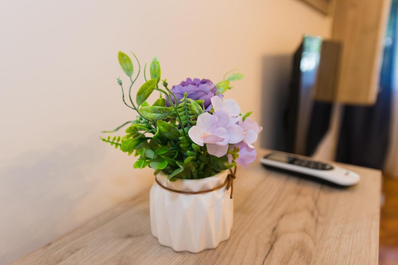 Apartman Studio Blue Subotica Eksteriør billede